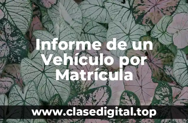 Informe de un Vehículo por Matrícula