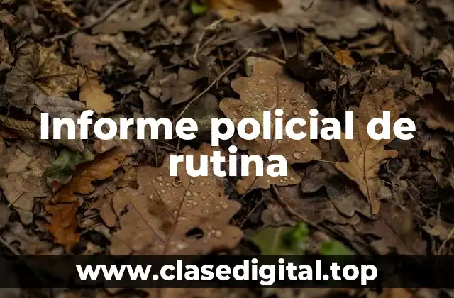 Informe policial de rutina