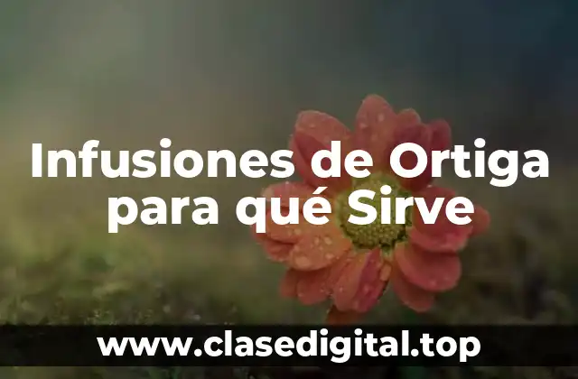 Propiedades Medicinales de la Ortiga