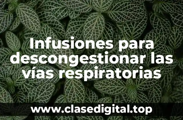 Infusiones para descongestionar las vías respiratorias