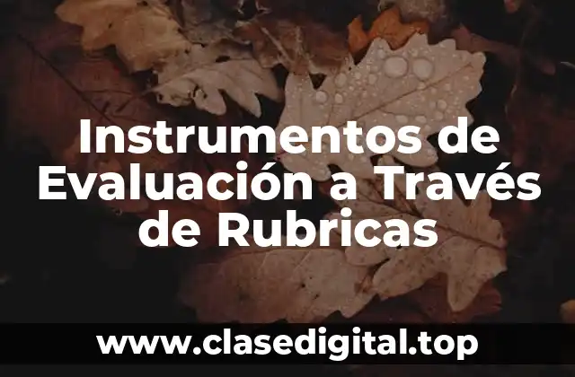 Ejemplos de Instrumentos de Evaluación a Través de Rubricas