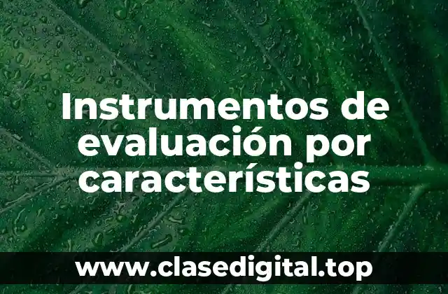 Instrumentos de evaluación por características