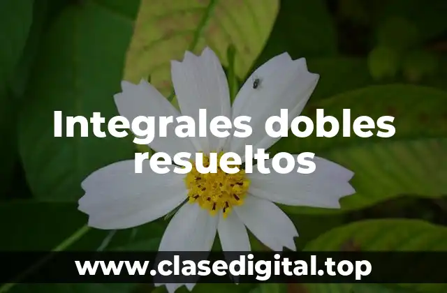 Integrales dobles resueltos