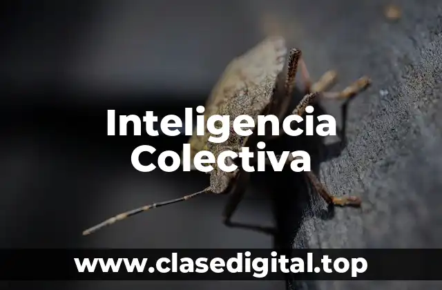 Inteligencia Colectiva