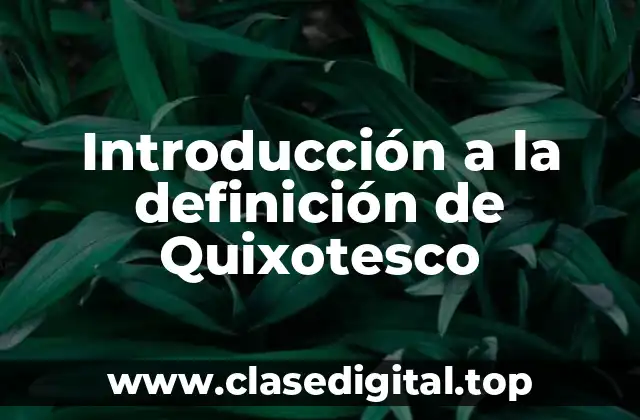 Introducción a la definición de Quixotesco
