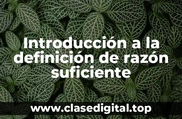 Definición técnica de razón suficiente