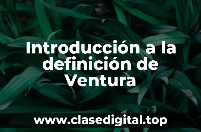 Introducción a la definición de Ventura