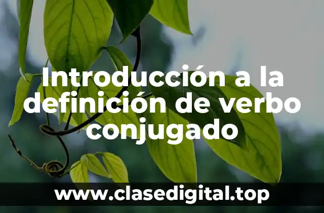 Definición técnica de verbo conjugado