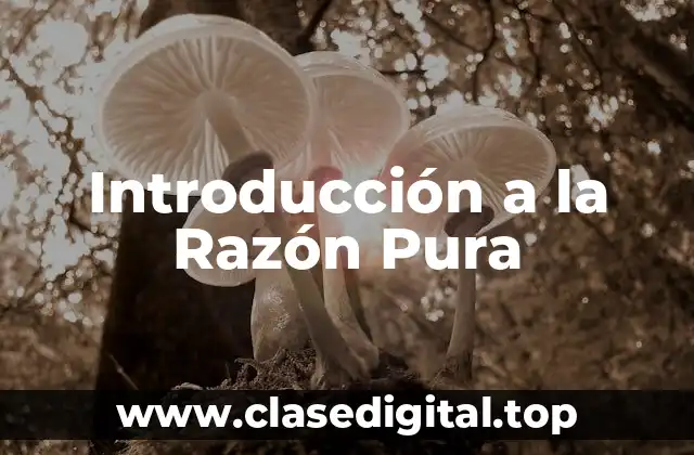Introducción a la Razón Pura