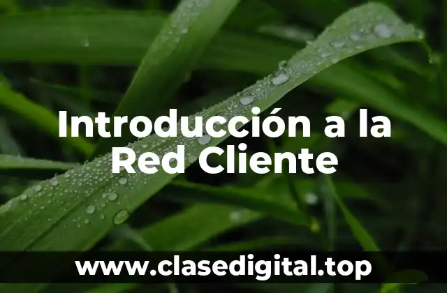 Introducción a la Red Cliente
