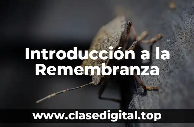 Introducción a la Remembranza