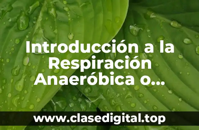 Introducción a la Respiración Anaeróbica o Fermentación en Biología