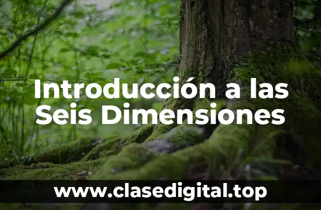 Introducción a las Seis Dimensiones