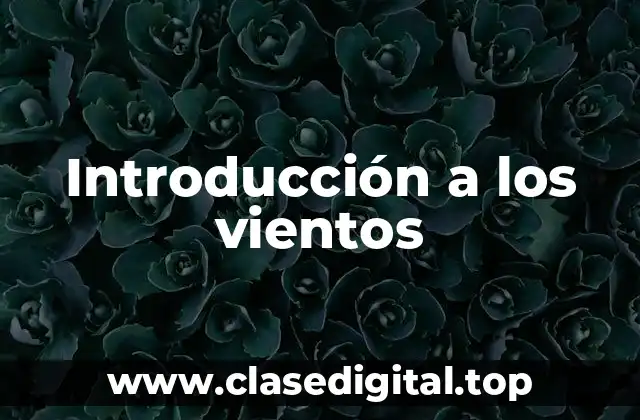 Definición técnica de viento