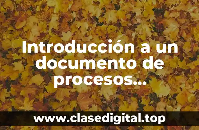 Introducción a un documento de procesos industriales