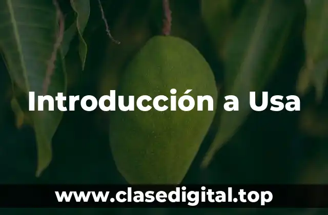 Introducción a Usa