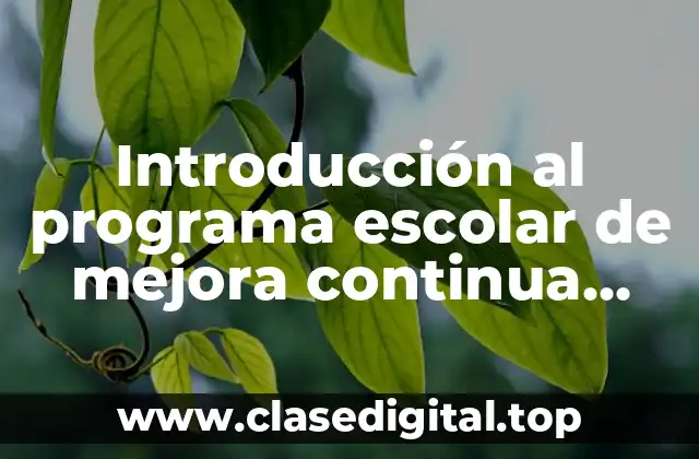 Introducción al programa escolar de mejora continua primaria