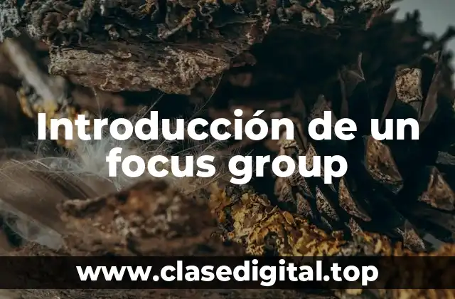 Ejemplos de focus group