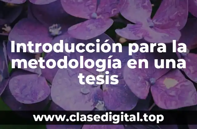 Ejemplos de introducción para la metodología en una tesis