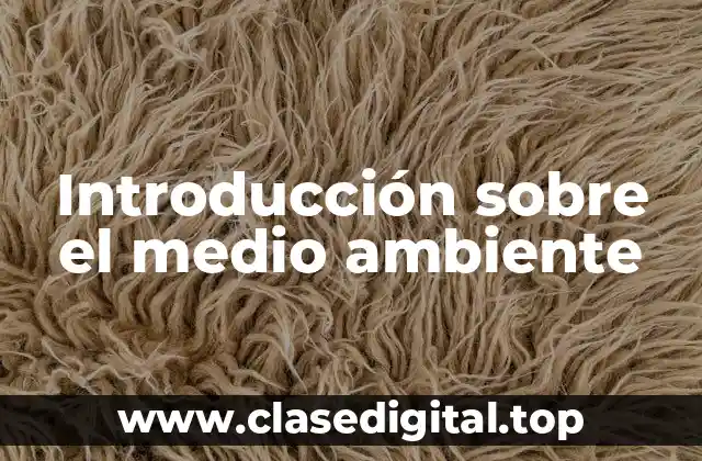 Ejemplos del medio ambiente