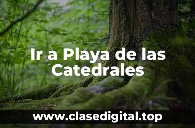 Ir a Playa de las Catedrales