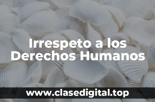 Irrespeto a los Derechos Humanos