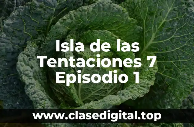 Isla de las Tentaciones 7 Episodio 1