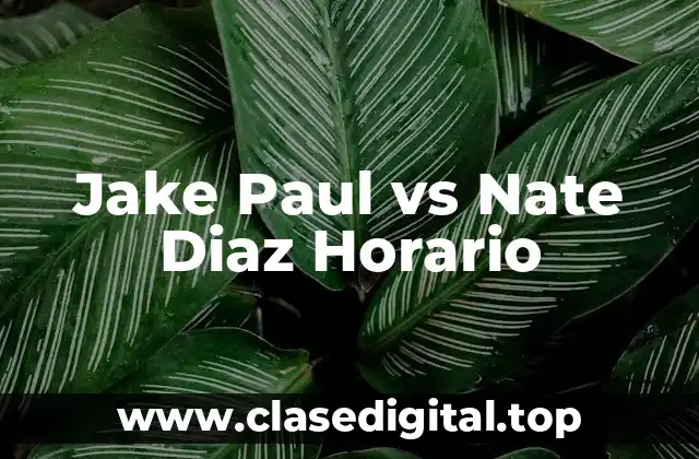 Jake Paul vs Nate Diaz Horario