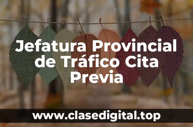 Jefatura Provincial de Tráfico Cita Previa