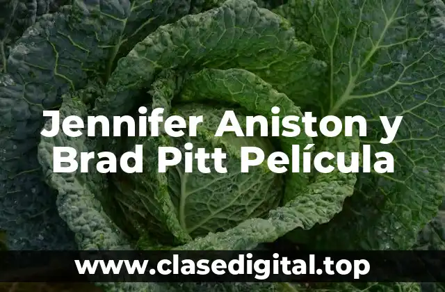 La Carrera de Jennifer Aniston antes de Brad Pitt