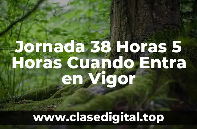 Jornada 38 Horas 5 Horas Cuando Entra en Vigor