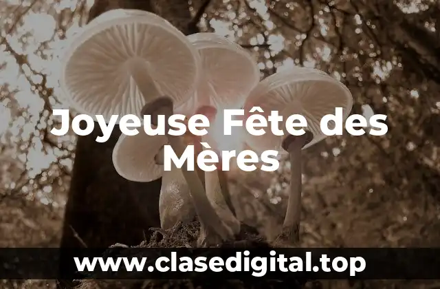 Joyeuse Fête des Mères