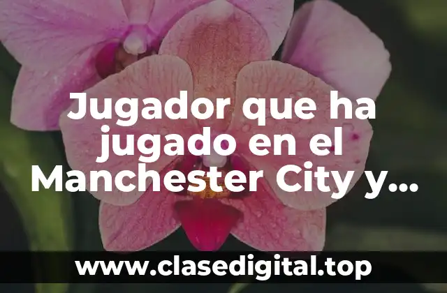 Jugador que ha jugado en el Manchester City y PSG
