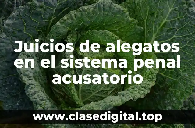 Juicios de alegatos en el sistema penal acusatorio