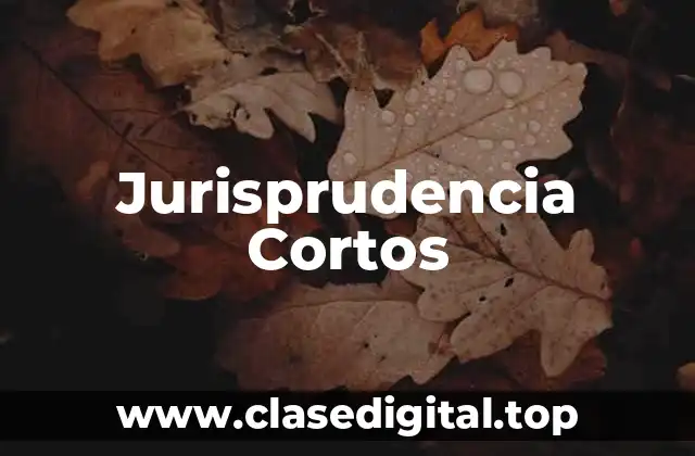 Jurisprudencia Cortos