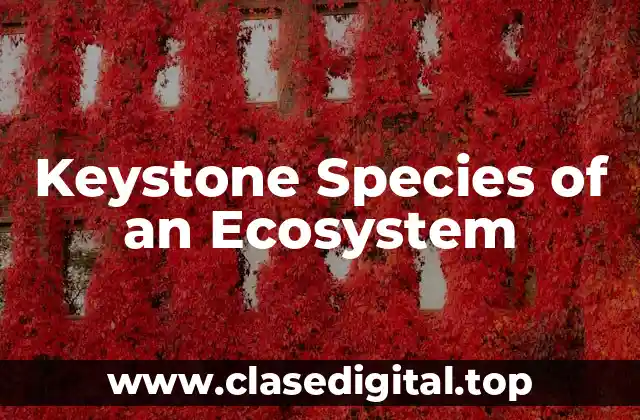 Keystone Species of an Ecosystem