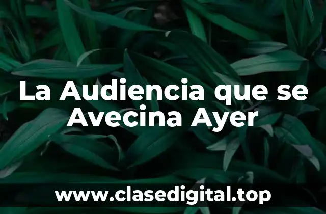 La Audiencia que se Avecina Ayer