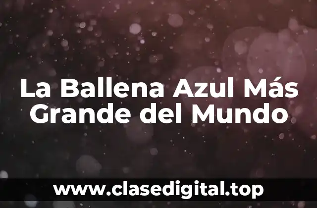 La Ballena Azul Más Grande del Mundo