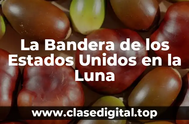 La Bandera de los Estados Unidos en la Luna