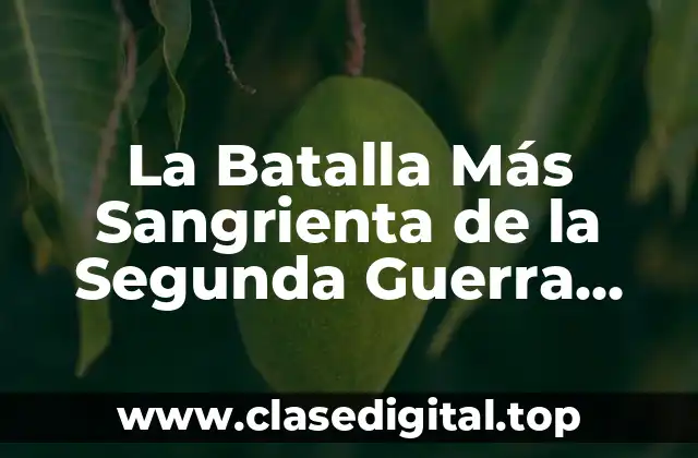 Antecedentes de la Batalla de Stalingrado