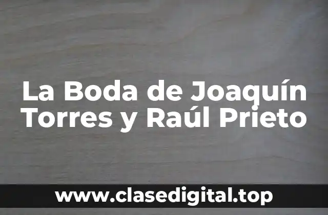 ¿Quiénes son Joaquín Torres y Raúl Prieto?