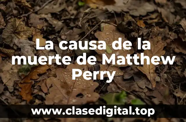 La causa de la muerte de Matthew Perry