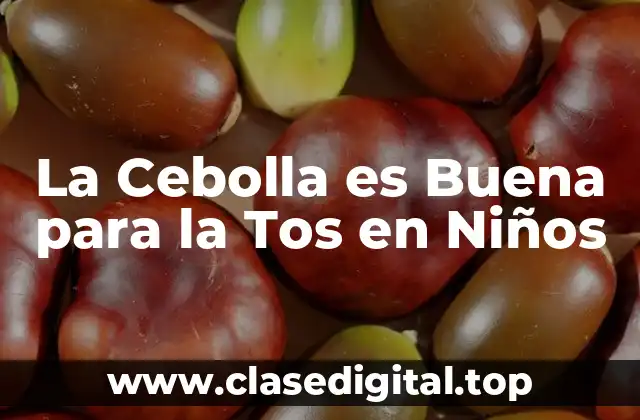 ¿Cuáles son las Propiedades Medicinales de la Cebolla?