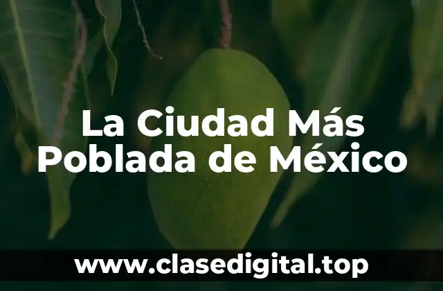 La Ciudad de México: Un Gigante Urbano