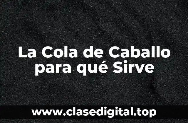 La Cola de Caballo para qué Sirve