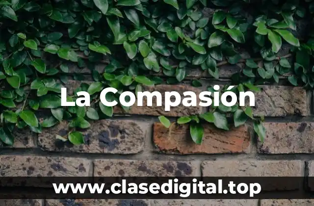 Ejemplos de Compasión