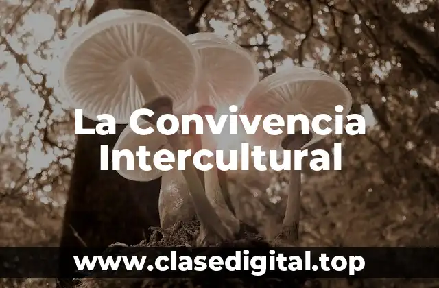 Ejemplos de Convivencia Intercultural