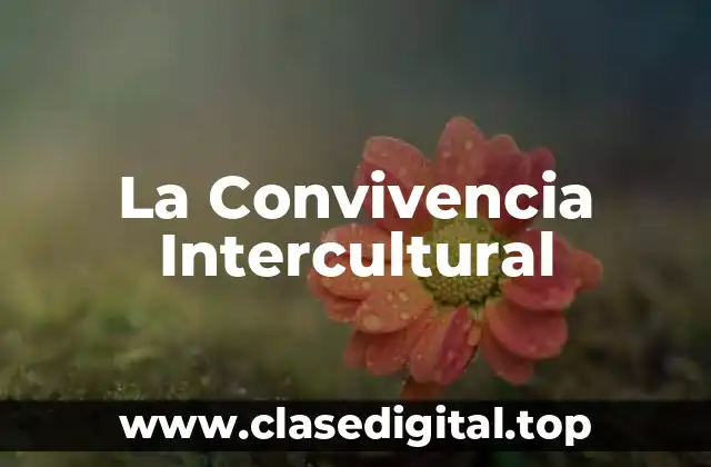 Ejemplos de Convivencia Intercultural