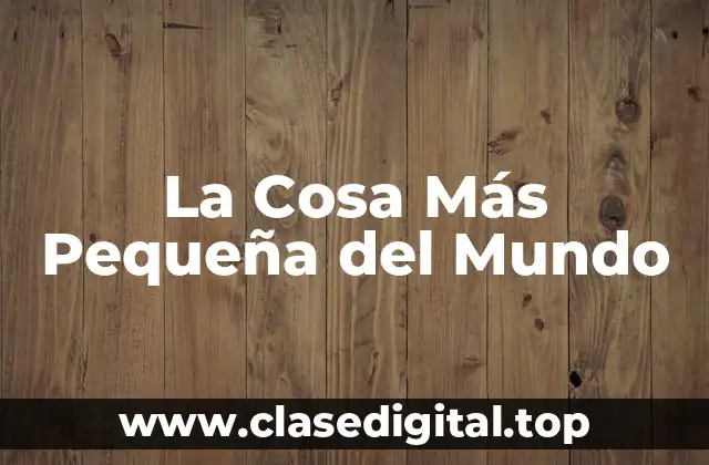 La Cosa Más Pequeña del Mundo