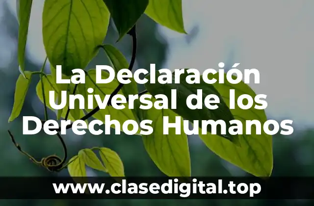 La Declaración Universal de los Derechos Humanos